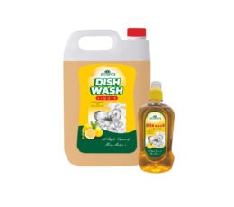 Dish Wash